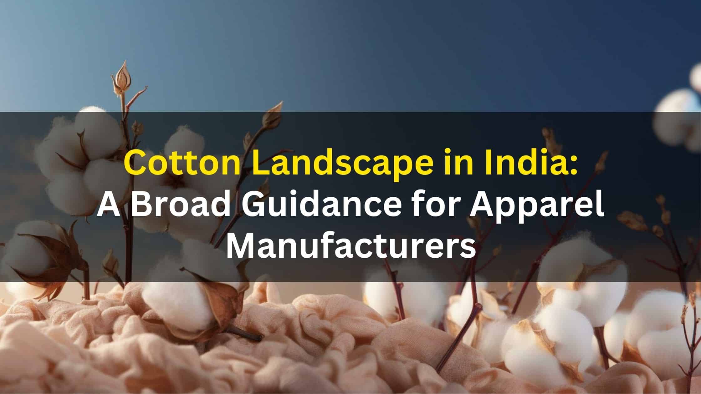 Cotton buyers